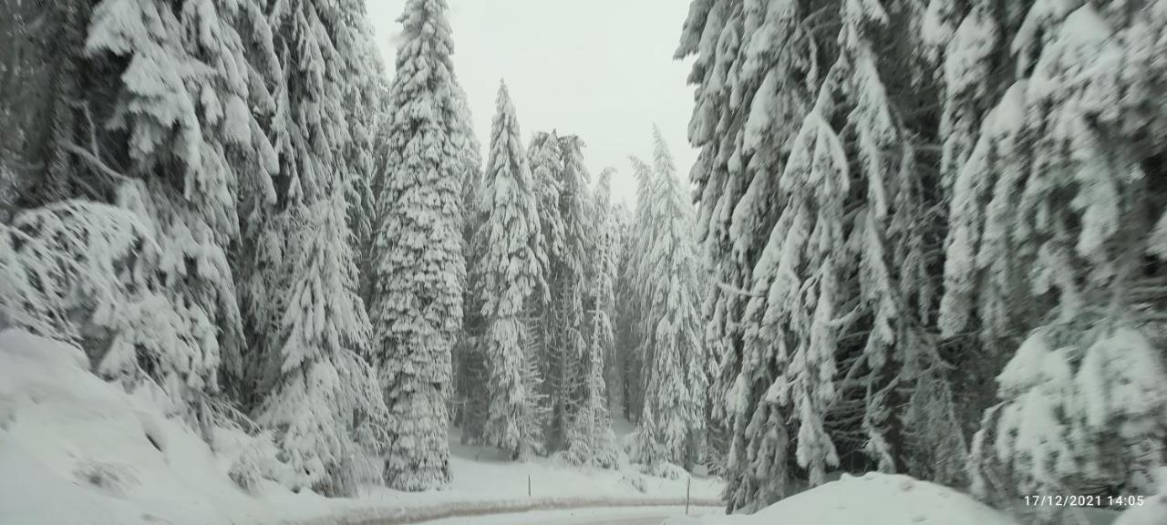 Sans Lux Apartman N42 Milmari Kopaonik Exterior foto